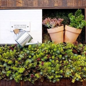 Meet your Posher, Lei